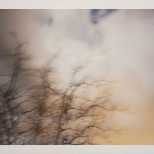 Naturaleza  táctil I