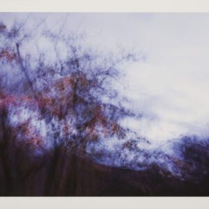 Naturaleza Táctil VIII