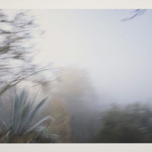 Naturaleza Táctil VII