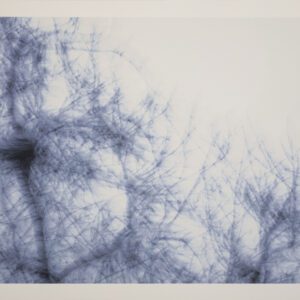 Naturaleza Táctil V