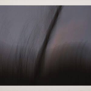 Naturaleza Táctil VI