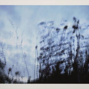 Naturaleza Táctil IV