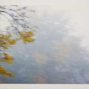 Naturaleza Táctil II