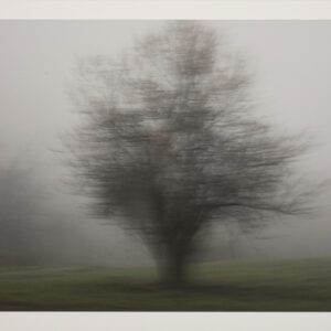 Naturaleza Táctil III