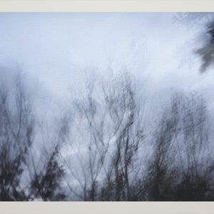 Naturaleza Táctil IX