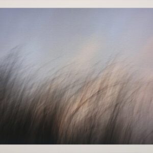 Naturaleza Táctil XI