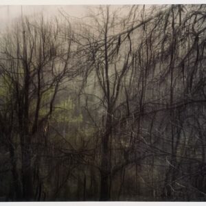 Naturaleza Táctil XII