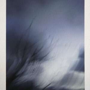 venta de fotografia artistica