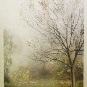 Naturaleza Táctil XVI