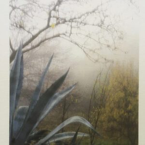 venta de arte en granada