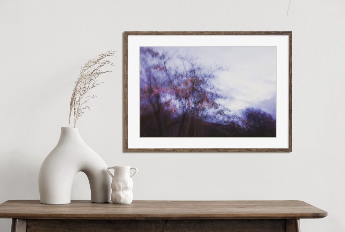 venta de fotografia en granada