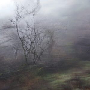 comprar fotografia online